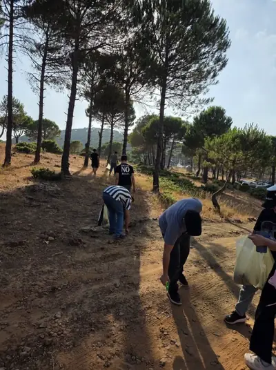 Volunteers working on the ground among pine trees