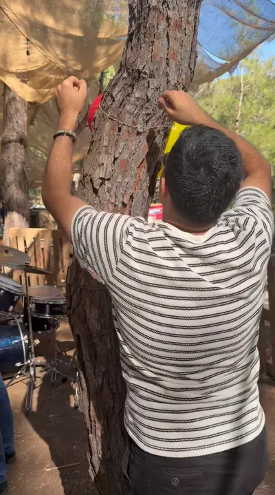 A member tying a rope around a pine trunk while setting up the venue