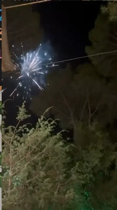 Fireworks bursting above the trees at night